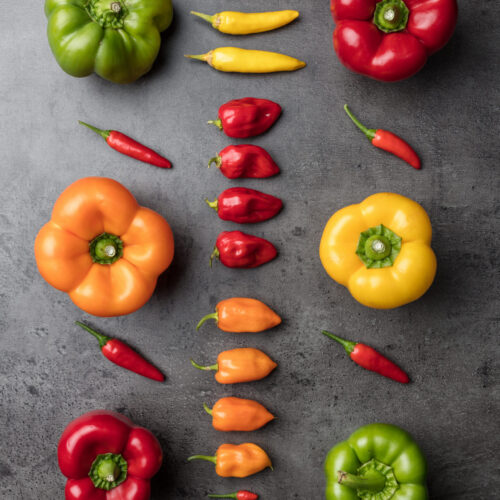 Variety of fresh and dried chili peppers on rustic background
