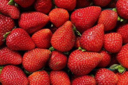 vibrant-close-up-of-pile-of-red-strawberries-2026-03-17-14-43-09-utc vibrant-close-up-of-pile-of-red-strawberries-2026-03-17-14-43-09-utc