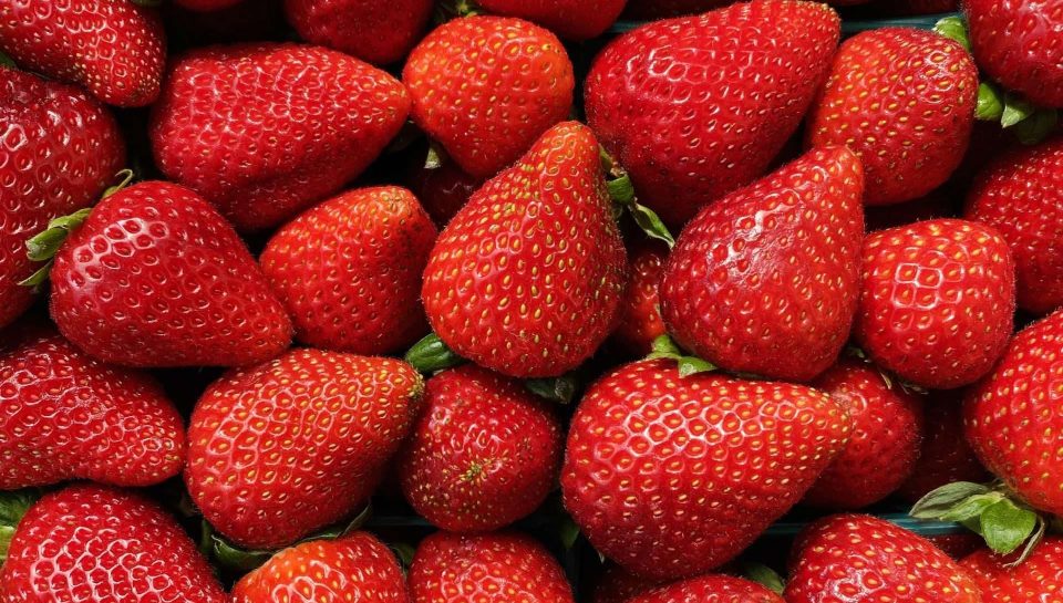 vibrant-close-up-of-pile-of-red-strawberries-2026-03-17-14-43-09-utc