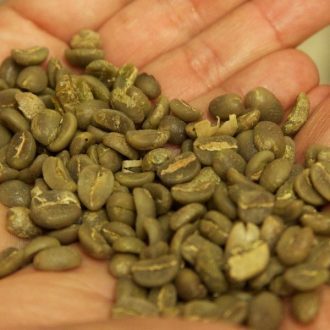 Karibrew Green Coffee — Kenya AA (60kg) 5 Karibrew Green Coffee Kenya Aa