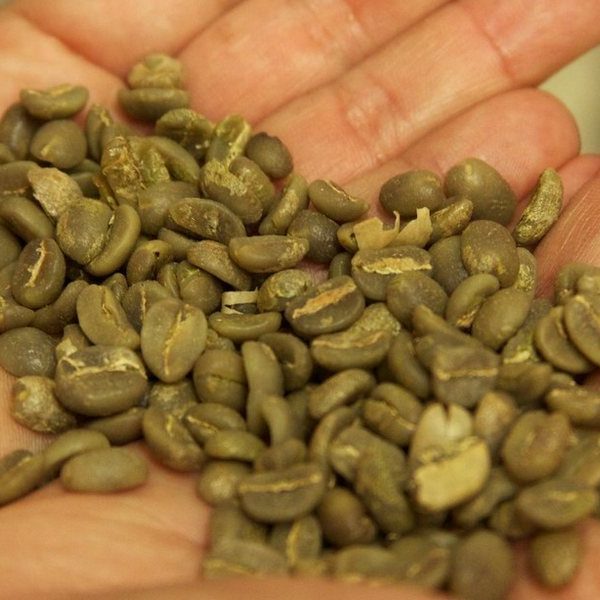Karibrew Green Coffee Kenya Aa