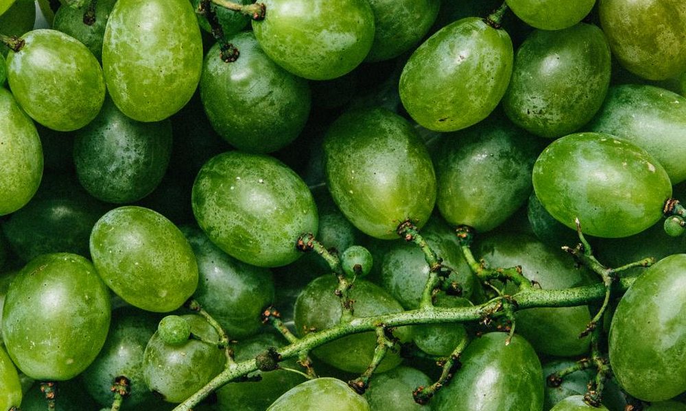 Table Grapes 3 Table Grapes